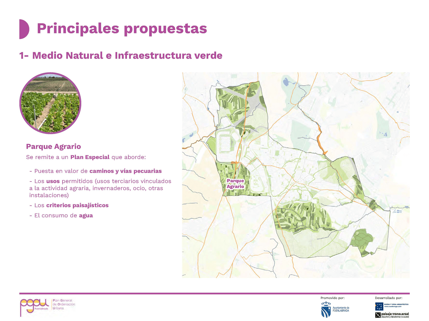 PG60_Presentacion_Página_05